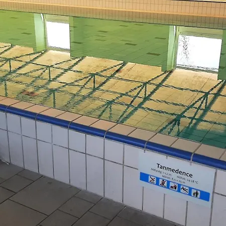 Velence Resort Apartman *